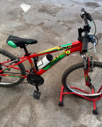 Bici per ragazzi