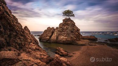 Direttore Tecnico Agenzia di Viaggi