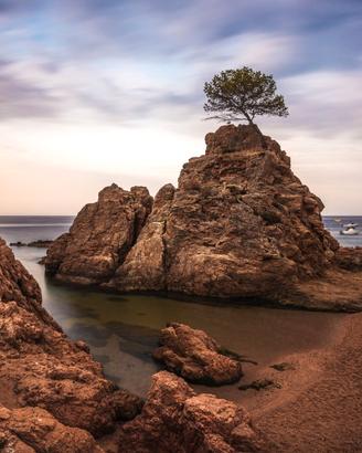 Direttore Tecnico Agenzia di Viaggi
