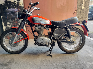 Ducati scrambler 350