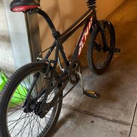 Bmx Olmo