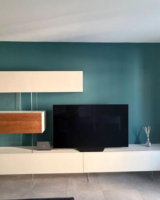 MOBILE TV-LIVING AIR LAGO
