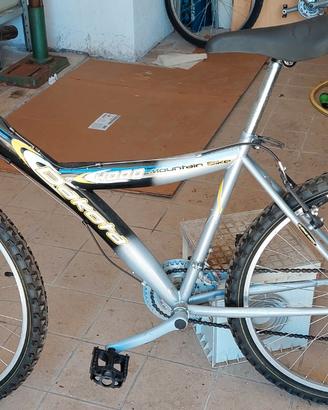 Mountain bike
