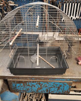gabbia uccelli