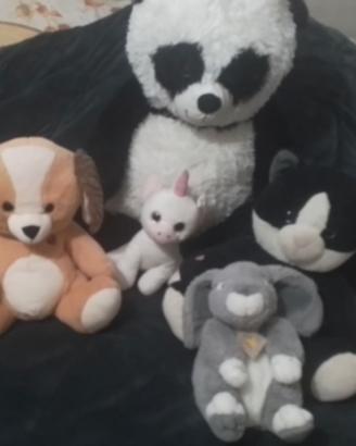 FAMILY ORSI