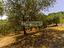 Immagine 22