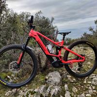 E-MTB Orbea Wild