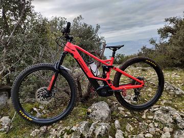 E-MTB Orbea Wild
