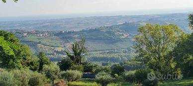 Terreno di 4309 m² a Gemmano