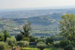 Terreno di 4309 m² a Gemmano