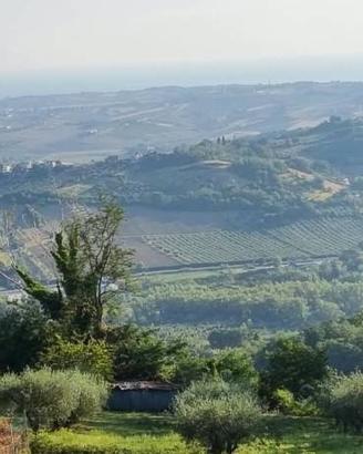 Terreno di 4309 m² a Gemmano