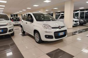 FIAT Panda 3ª serie Panda 1.2 Easy