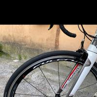 wilier triestina