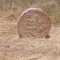 Macchine agricole