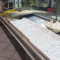 Bancone mostra Pescheria
