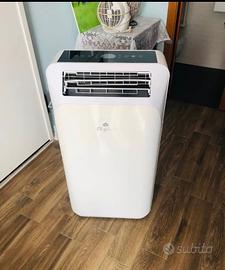 Climatizzatore portarle perfetto