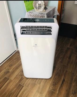 Climatizzatore portarle perfetto