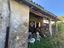 Immagine 11