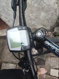 bicicletta elettrica 