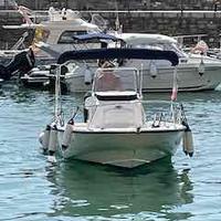 Boston Whaler 220 Dauntless