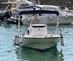 Boston Whaler 220 Dauntless