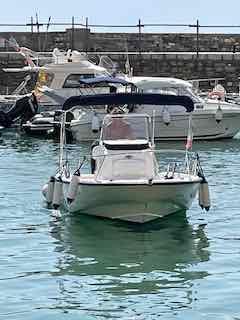 Boston Whaler 220 Dauntless