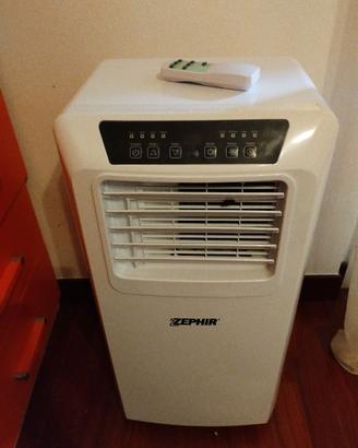 condizionatore portatile a pompa di calore  9000