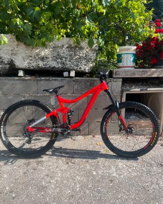 Bici da enduro