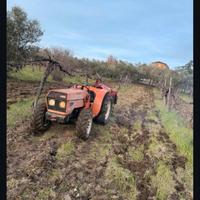 GOLDONI 664.D COMPACT