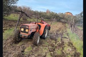 GOLDONI 664.D COMPACT