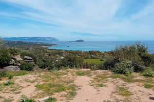 X motivi di famiglia