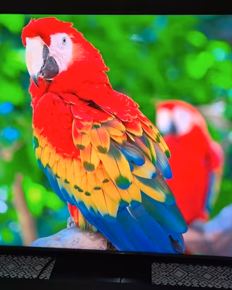 SAMSUNG QLED 65" 4K UHD – QE65Q70CATXZT