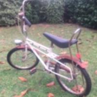 BICICLETTA SALTA FOSSI