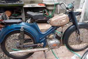 Testi 50 a 3 marce anno 67