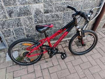 MTB Specialized Bambini ruote da 20