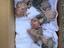 Immagine 1