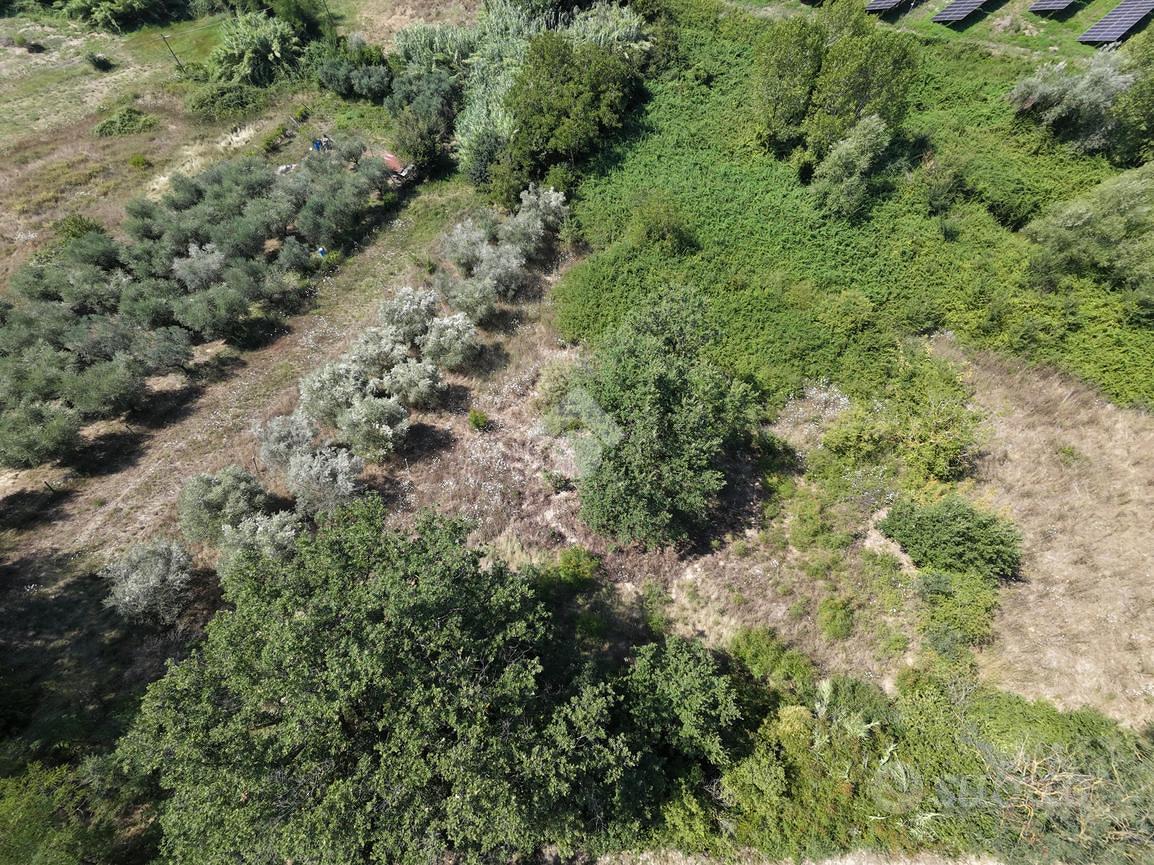 TERRENO A MOSCIANO SANT'ANGELO - Vista 4