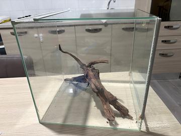 teca per.  camaleonti lucertola e tartaruga 