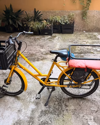 Bicicletta Cargo Bike long tail Veloe