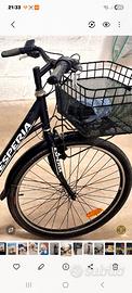 bicicletta a pedalata assistita