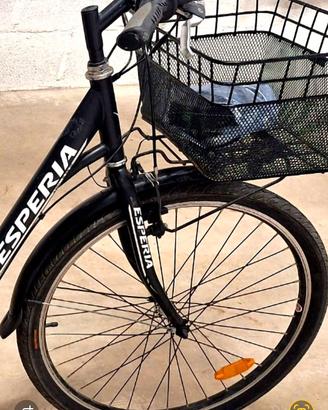 bicicletta a pedalata assistita