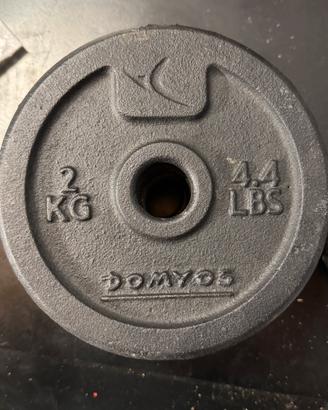 Pesi in ghisa e gommati diametro foro 28/30