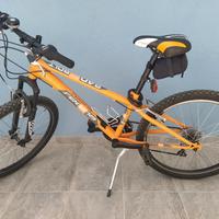 Bicicletta MTB Regina 240 bolt misura 24