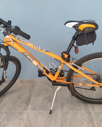 Bicicletta MTB Regina 240 bolt misura 24
