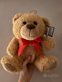 Orso di pelouche
