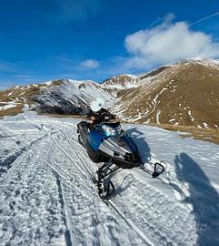 Motoslitta ARCTIC CAT 1000