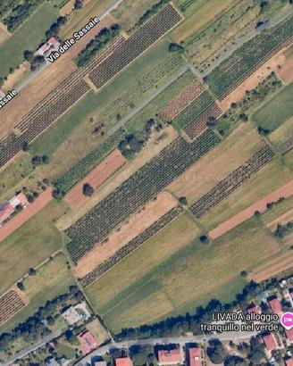 Vigneti, terreni agricoli a Gorizia e Oslavia