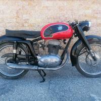 MV Agusta 175 CSTL - 1956