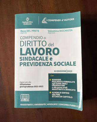 Compendio di diritto del lavoro sindacale