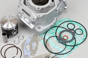 Ricromatura Cilindri Rotax 122-123 RS-RX-AF1-FUTUR
